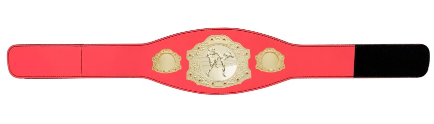 GOLD CHAMPIONSHIP BELT - XXLMIDI/G/THAIBOXG - AVAILABLE IN 4 LEATHER COLOURS GOLD CHAMPIONSHIP BELT - XXLMIDI/G/THAIBOXG - AVAILABLE IN 4 LEATHER COLOURS